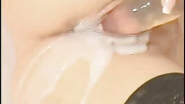 BRAZZERS: PornHD에서 Rachel Starr와 주방 섹스
